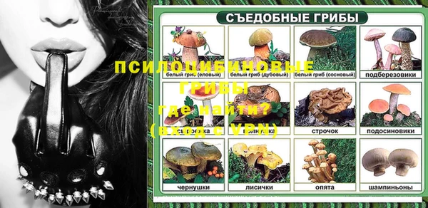 ПСИЛОЦИБИНОВЫЕ ГРИБЫ Алексин