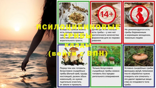 PSILOCYBIN Алексеевка