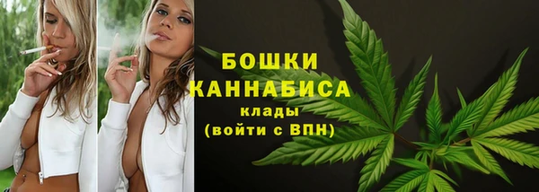 PSILOCYBIN Алексеевка