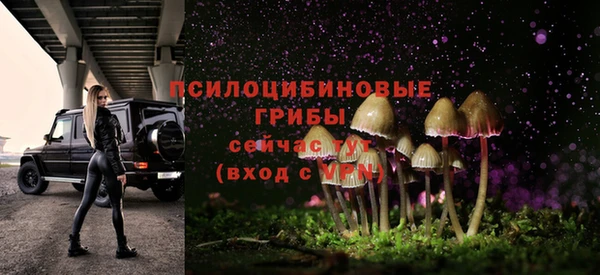 ПСИЛОЦИБИНОВЫЕ ГРИБЫ Алексин