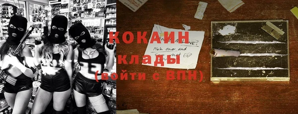 ПСИЛОЦИБИНОВЫЕ ГРИБЫ Алексин