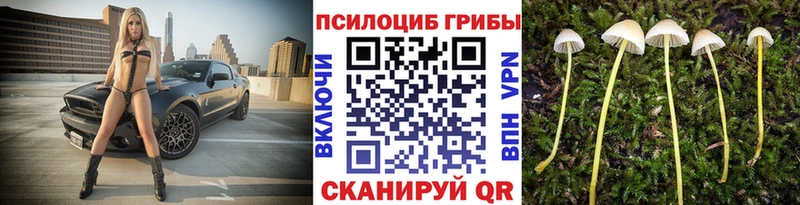 где найти наркотики  Анива  Псилоцибиновые грибы Psilocybine cubensis 
